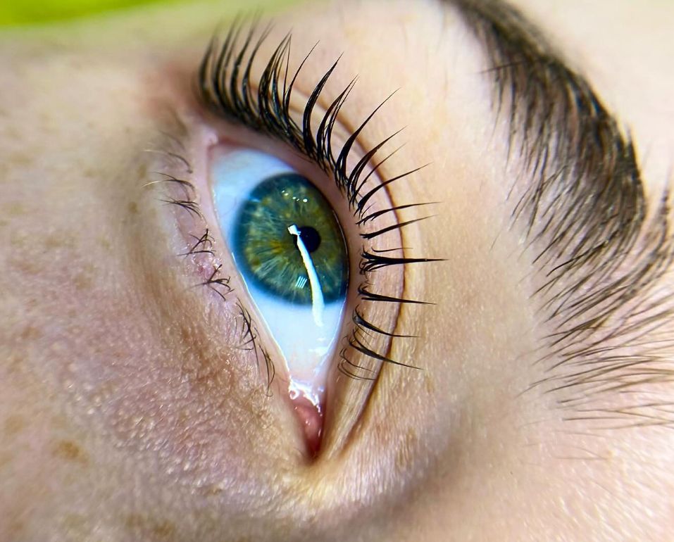 κατάταξη των καλύτερων σετ ανόρθωσης βλεφαρίδων - πλεονεκτήματα και μειονεκτήματα